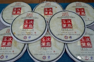 2012年冰岛玉叶鉴赏！勐库戎氏经典之作，500克一片加量不加价