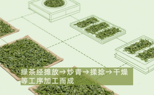 中国各类绿茶加工工艺及品质特征.jpg 中国各类绿茶加工工艺及品质特征.jpg