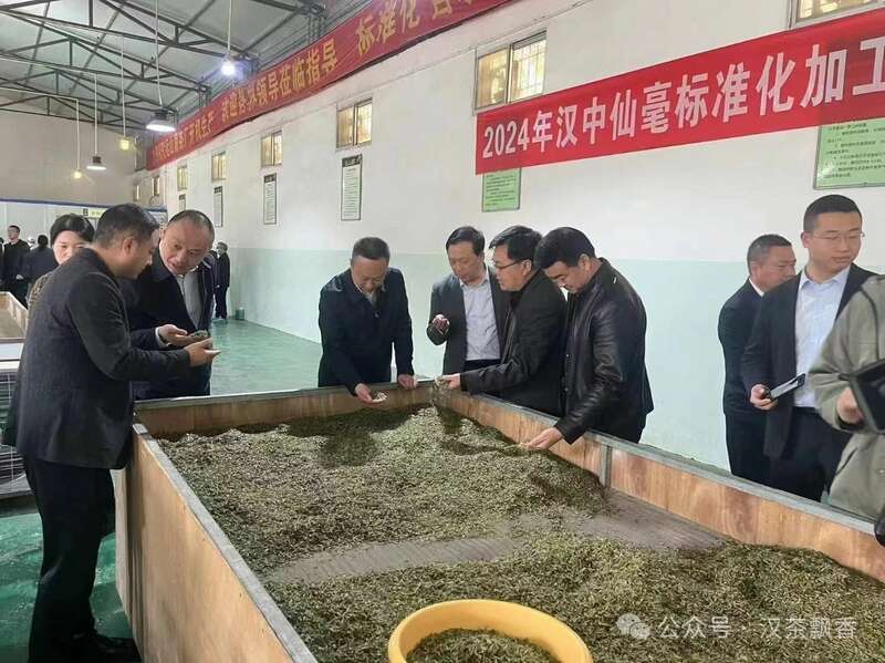 南郑多措并举推动茶产业高质量发展 brand_alt_mark