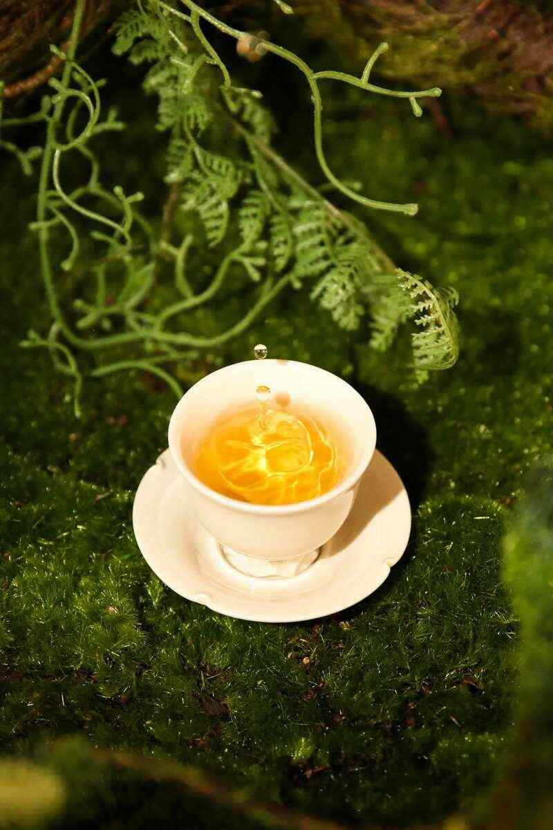 便携装普洱茶忙肺·龙珠,香高韵远茶韵醇厚 brand_alt_mark