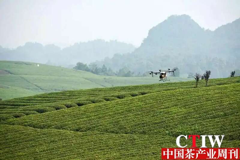 无人机助力茶园管理,新昌推动茶产业现代化 brand_alt_mark