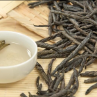 苦丁茶简介及品茗指南