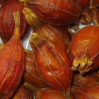 栀子茶制作工艺与品鉴指南解析