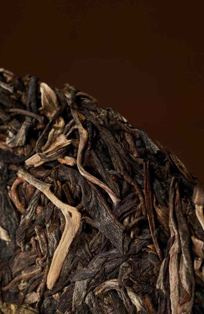 金蛇启天引领生肖茶新风尚 brand_alt_mark