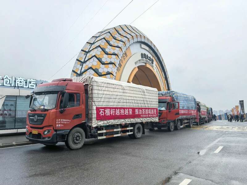 川藏线牵雅安情长 藏茶援助西藏地震灾区 brand_alt_mark