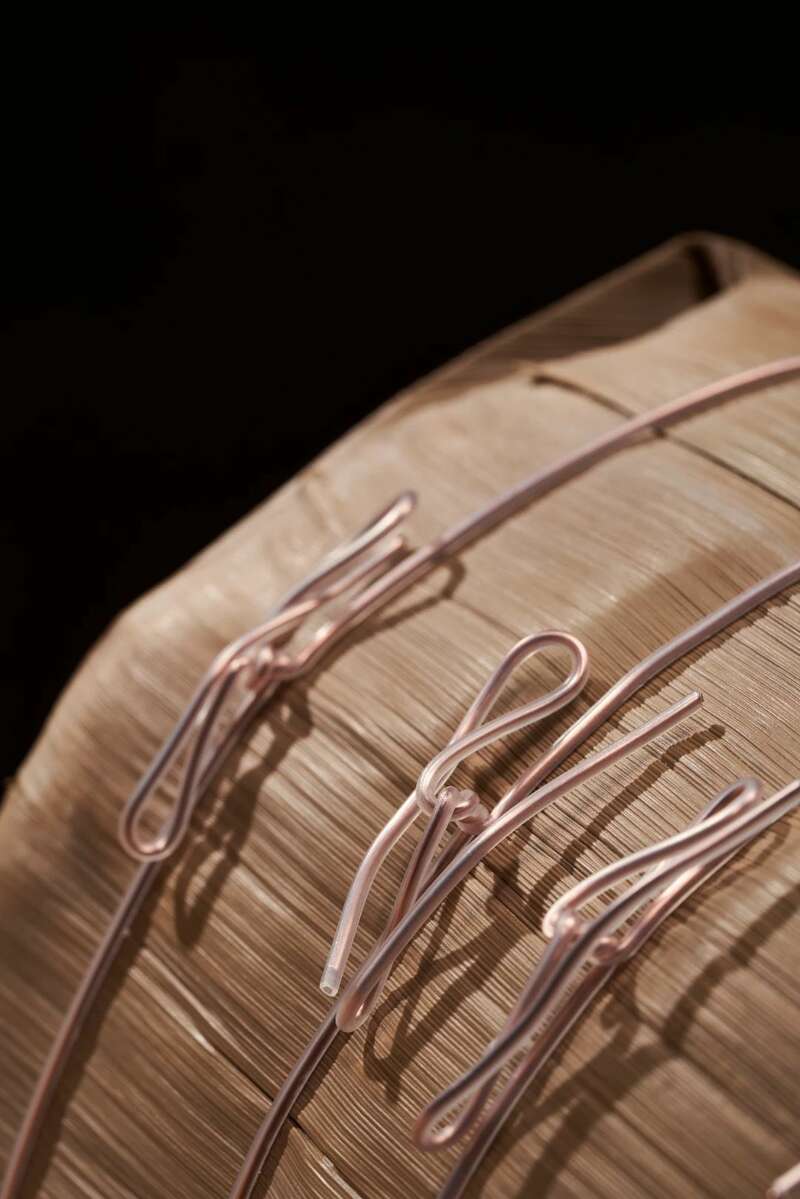 金蛇启天引领生肖茶新风尚 brand_alt_mark