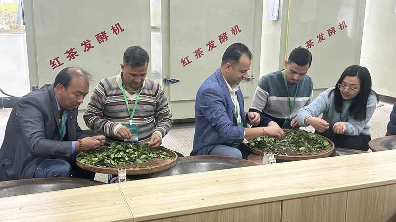 中尼茶产业合作培训圆满结业 共促文化交流 brand_alt_mark