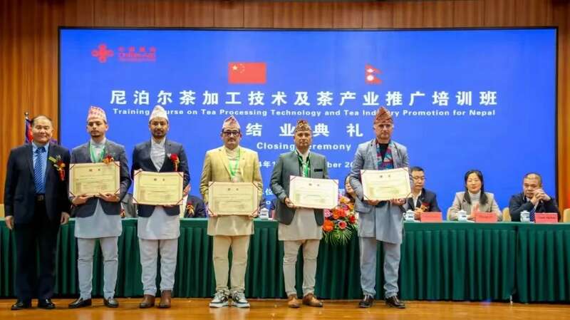 中尼茶产业合作培训圆满结业 共促文化交流 brand_alt_mark