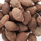 胖大海茶药用价值及饮用指南