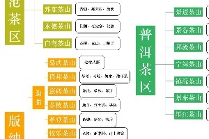 普洱茶风味密码：地理与成分的科学解读