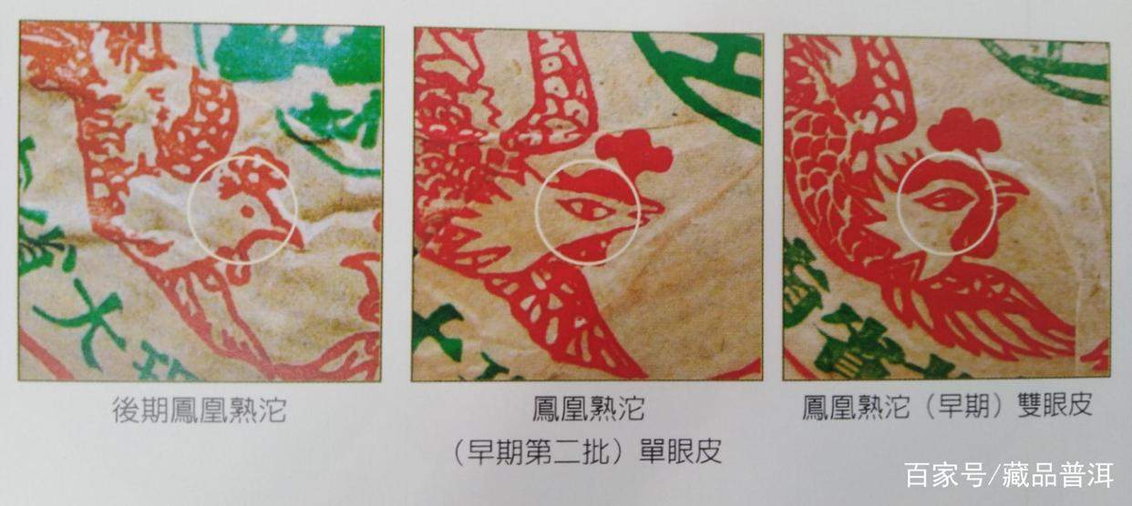 凤凰沱茶真好味:盘点凤凰沱的诞生、品类与细节特征 凤凰沱茶真好味:盘点凤凰沱的诞生、品类与细节特征