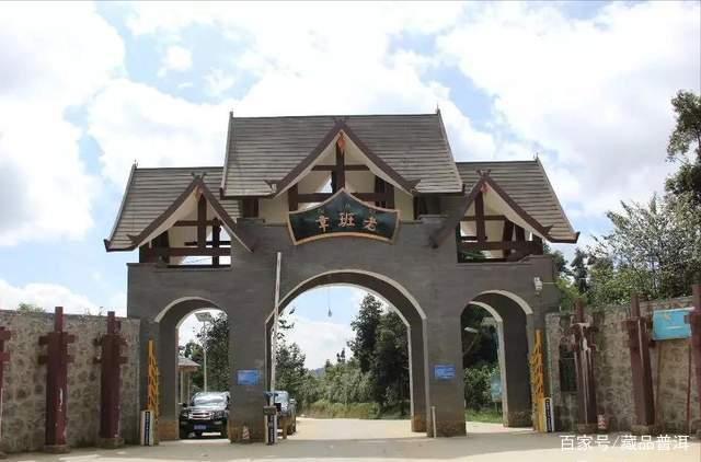 山头古树茶与品牌茶之争及市场现状