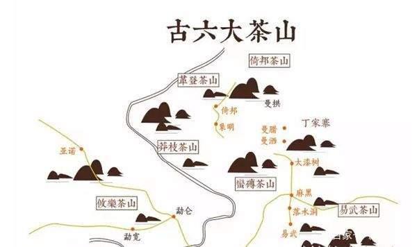 山头古树茶与品牌茶之争及市场现状