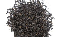 祁红香螺.png 祁红香螺.png