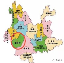 临沧茶区：勐库古树茶与冰岛茶的瑰宝