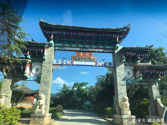 易武茶七村八寨品鉴：麻黑、刮风寨与薄荷塘口感解析