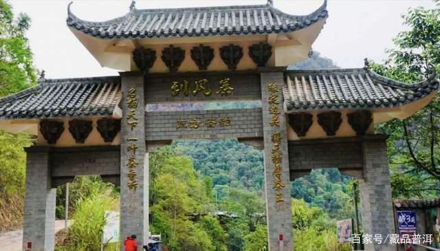 易武茶七村八寨品鉴：麻黑、刮风寨与薄荷塘口感解析