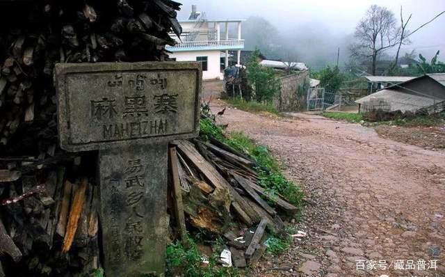 易武茶七村八寨品鉴：麻黑、刮风寨与薄荷塘口感解析