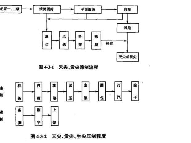 天尖贡尖加工筛制、压制流程.png 天尖贡尖加工筛制、压制流程.png