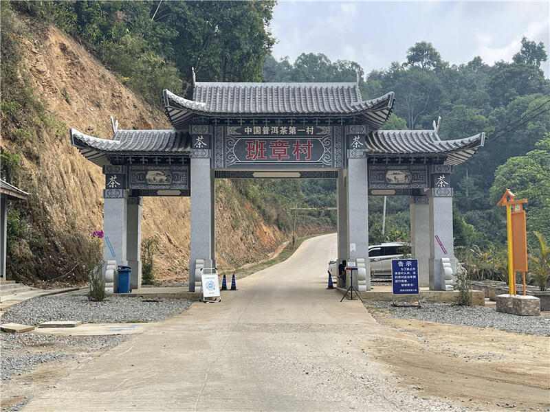 最高每公斤7.6万!2024十大天价普洱茶曝光,老班章居然垫底了! brand_alt_mark