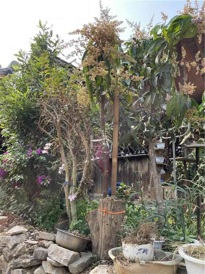 最高每公斤7.6万!2024十大天价普洱茶曝光,老班章居然垫底了! brand_alt_mark