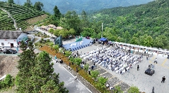 链式发展助推平利茶产业高质量发展——2024年茶产业成绩单谱写高质量发展新篇章 brand_alt_mark