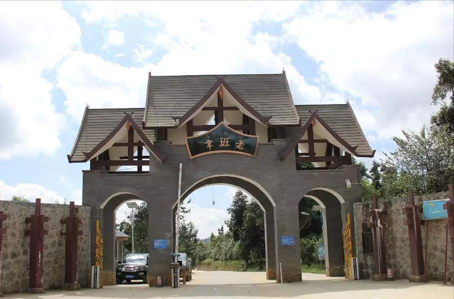 2000-2004年班章大白菜:普洱茶界的耀眼名片,长居霸主地位 2000-2004年班章大白菜:普洱茶界的耀眼名片,长居霸主地位