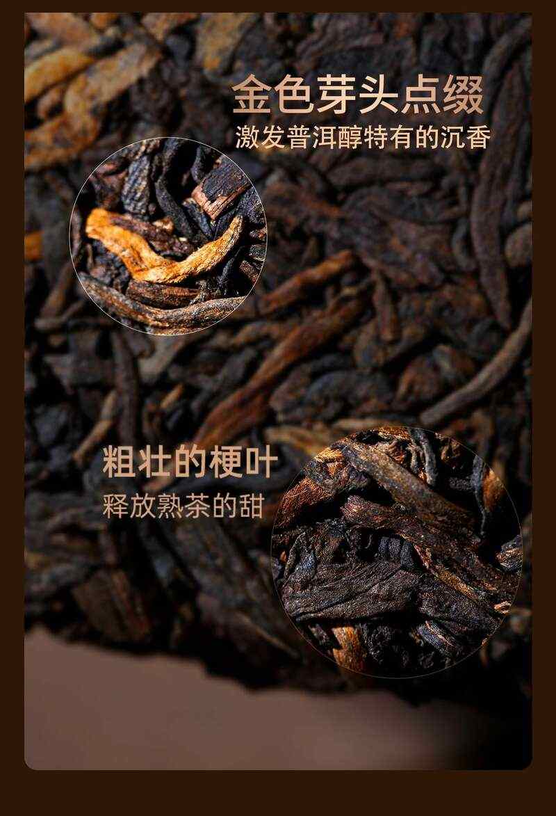 品牌热销熟茶,11年口碑好茶——普洱醇,正式上线! brand_alt_mark