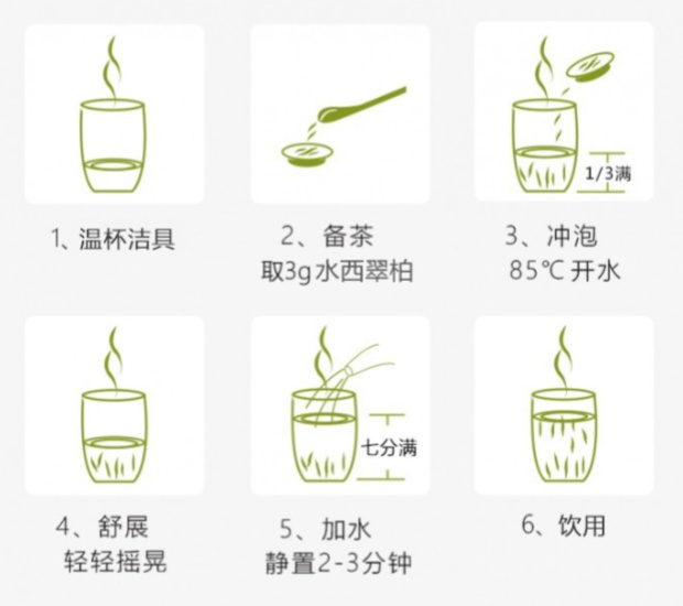 水西翠柏的冲泡方法.jpg 水西翠柏的冲泡方法.jpg