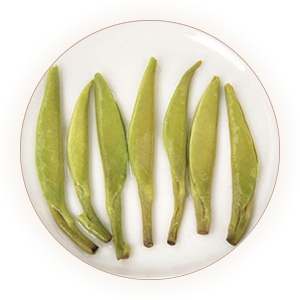 汉中仙毫的叶底.jpg 汉中仙毫的叶底.jpg