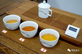 06年勐库母树茶春母，早年冰岛料压制，到底好不好？开汤审评来了