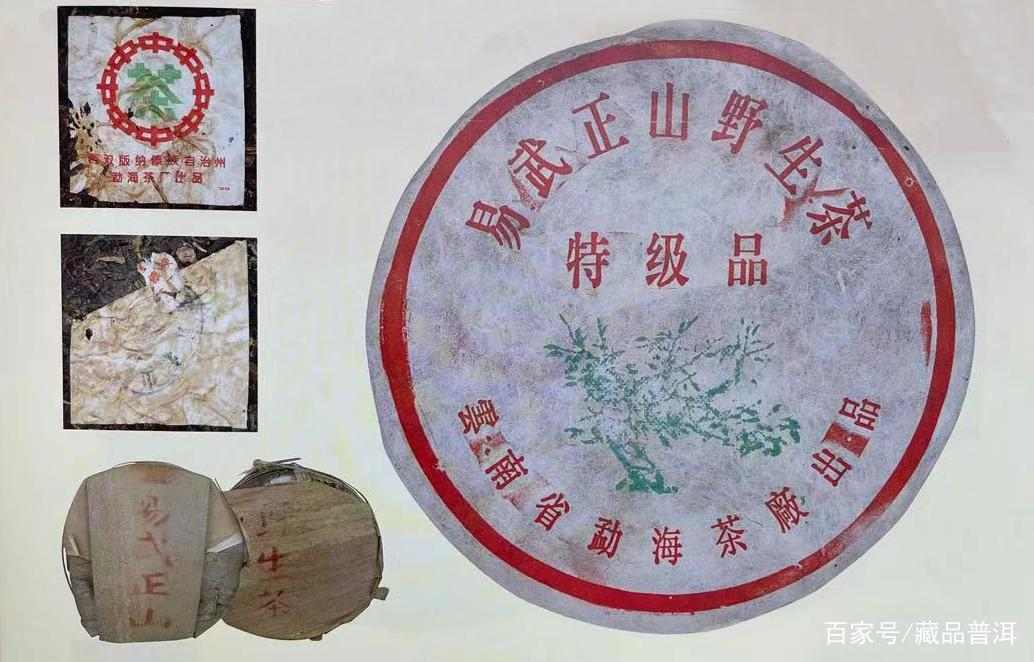 绿大树易武正山野生茶,4大族系茶品如何辨别?这些细节请认清 绿大树易武正山野生茶,4大族系茶品如何辨别?这些细节请认清