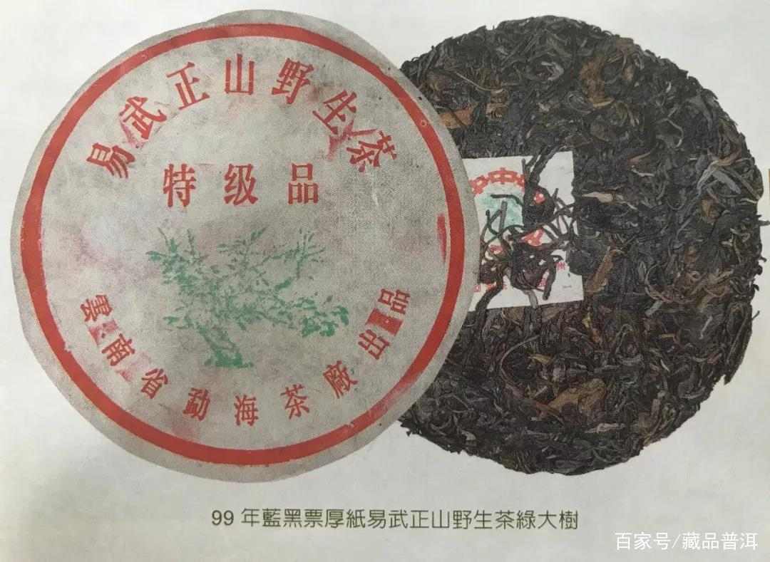 绿大树易武正山野生茶,4大族系茶品如何辨别?这些细节请认清 绿大树易武正山野生茶,4大族系茶品如何辨别?这些细节请认清