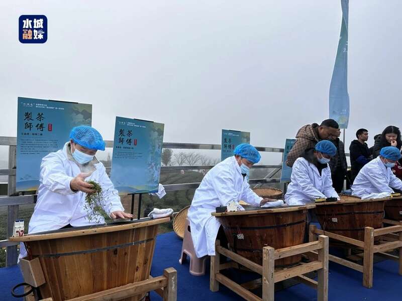 “贵州绿茶”第一采“水城春”开采,“抢鲜”开启茶产业新年新气象 brand_alt_mark