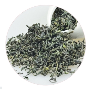 崂山绿茶的外形.jpg 崂山绿茶的外形.jpg