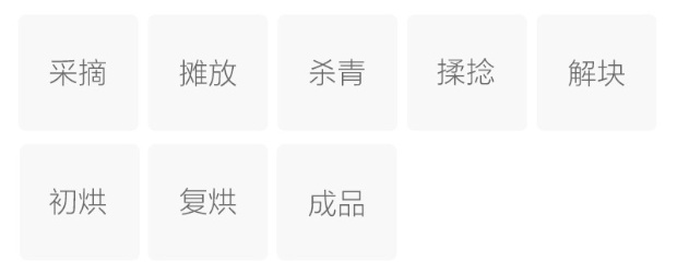 保靖黄金茶的制作工艺.jpg 保靖黄金茶的制作工艺.jpg