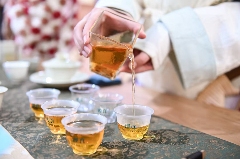 新岁交替共赴 “星河之约”,理真茶韵绘制文旅华章 brand_alt_mark