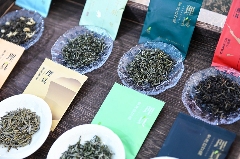 新岁交替共赴 “星河之约”,理真茶韵绘制文旅华章 brand_alt_mark