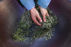 新岁交替共赴 “星河之约”,理真茶韵绘制文旅华章 brand_alt_mark