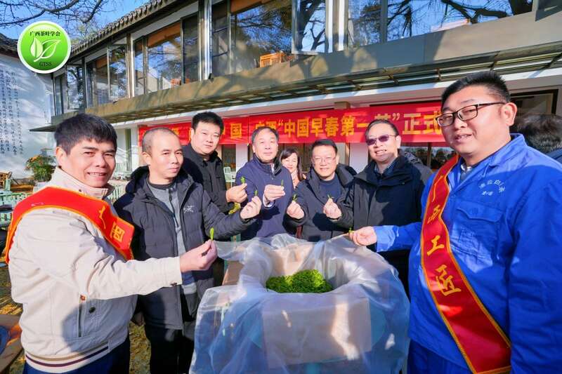 何以领鲜,唯有早春——2025广西“中国早春第一茶”系列活动盛大开启 brand_alt_mark