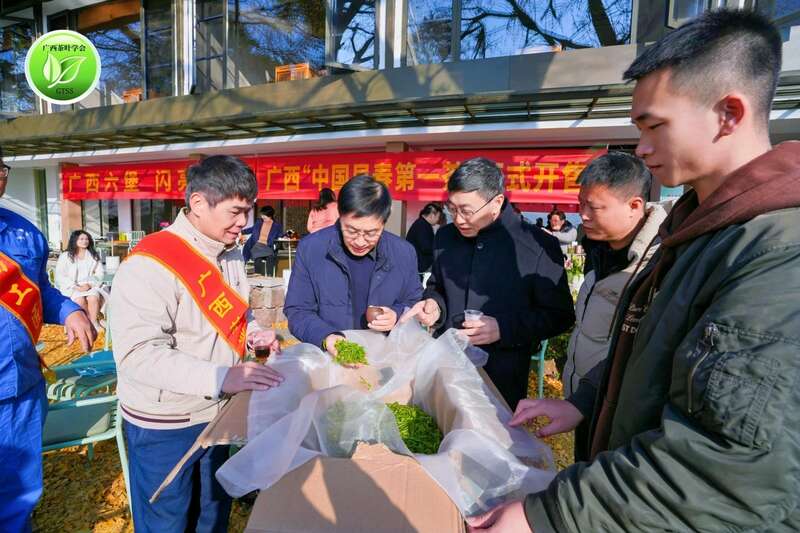 何以领鲜,唯有早春——2025广西“中国早春第一茶”系列活动盛大开启 brand_alt_mark