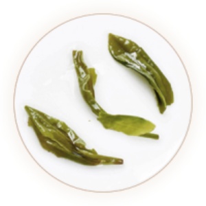 屯溪绿茶的叶底.jpg 屯溪绿茶的叶底.jpg