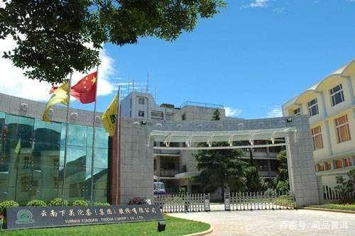 普洱茶十大知名品牌排名，下关榜上有名！盘点改制前的知名沱茶