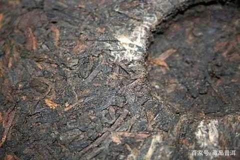 夏季存茶攻略：要让普洱茶越陈越香，最需要注意这3点