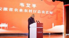 推动安徽茶产业高质量发展!这场大会诠释祁门红茶精彩 brand_alt_mark