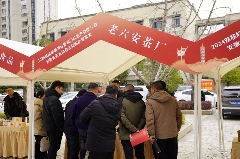 推动安徽茶产业高质量发展!这场大会诠释祁门红茶精彩 brand_alt_mark