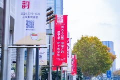 世界白茶在中国,大叶白茶看景谷,景谷大白茶“茗”动上海滩 brand_alt_mark