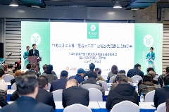 世界白茶在中国,大叶白茶看景谷,景谷大白茶“茗”动上海滩 brand_alt_mark