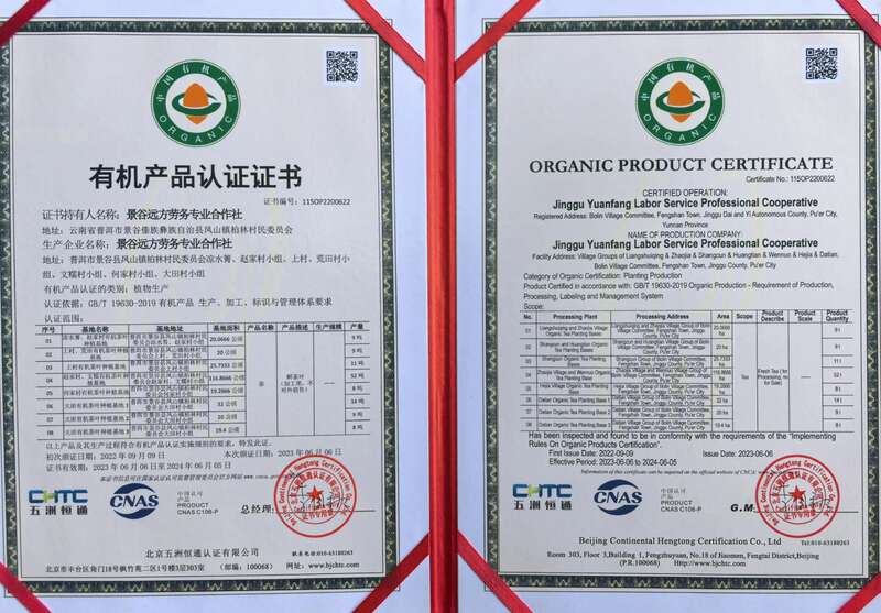 景谷凤山镇:做好“茶”文章 打好“有机牌” 铺就产业“振兴路” brand_alt_mark