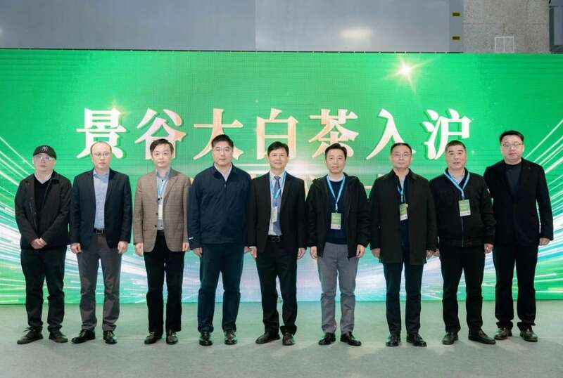 世界白茶在中国,大叶白茶看景谷,景谷大白茶“茗”动上海滩 brand_alt_mark